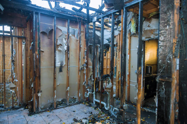 Professional Soot Cleanup technician working in Cadiz, OH